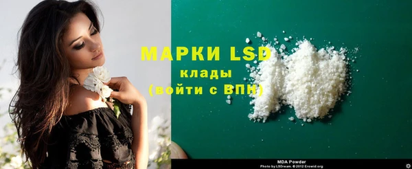 ПСИЛОЦИБИНОВЫЕ ГРИБЫ Аркадак