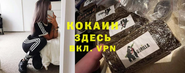 ПСИЛОЦИБИНОВЫЕ ГРИБЫ Аркадак