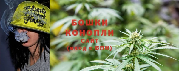 ПСИЛОЦИБИНОВЫЕ ГРИБЫ Аркадак