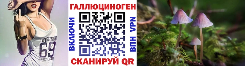 купить закладку Плавск Псилоцибиновые грибы мицелий